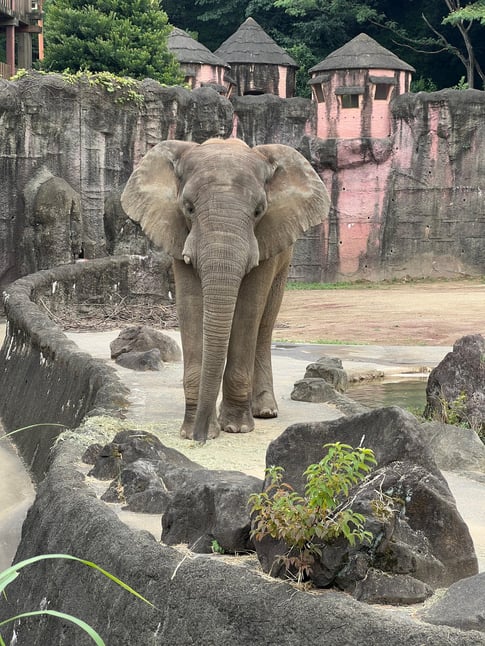 多摩動物公園