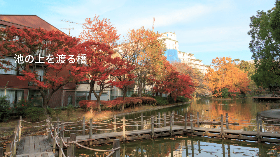 平和の森公園アスレチック