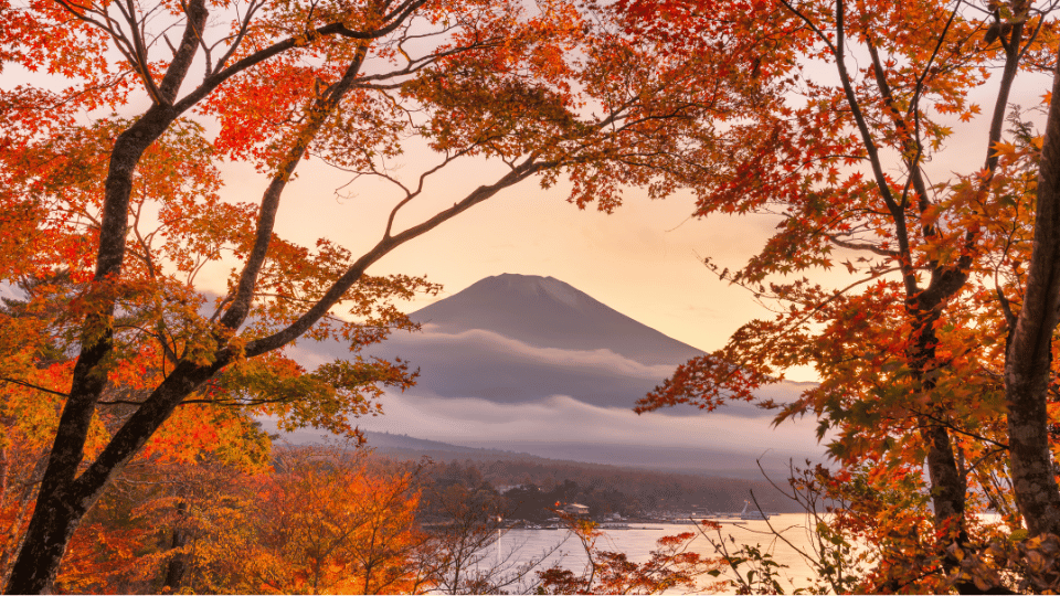 autumn-leaves-yamanakako-2