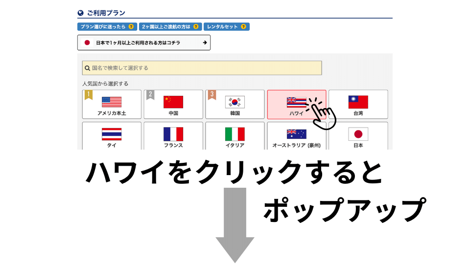 ハワイで使えるグローバルWiFiの申込手順3