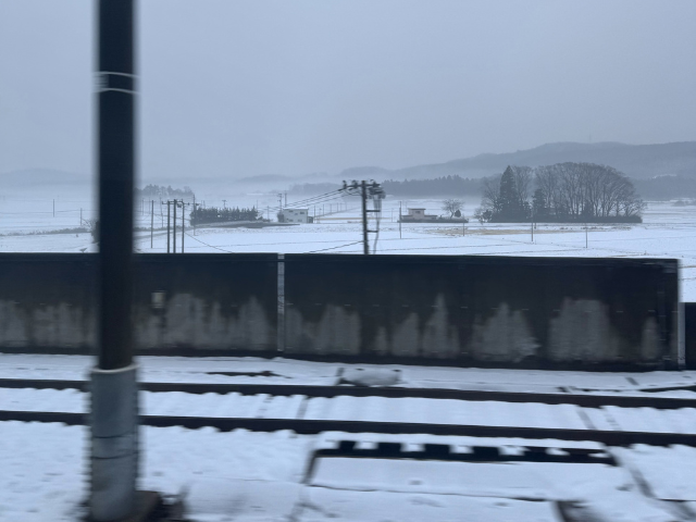 gwmm_20250318_4
