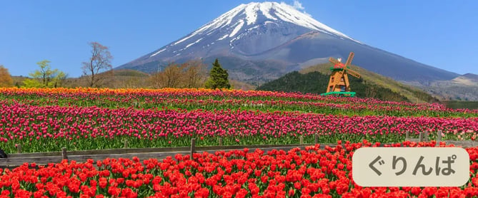 富士山周辺観光スポット：ぐりんぱ