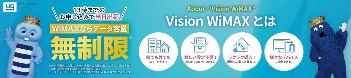 VISION_WiMAX_BNR