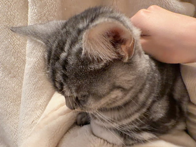 telcoblog_20251124_1