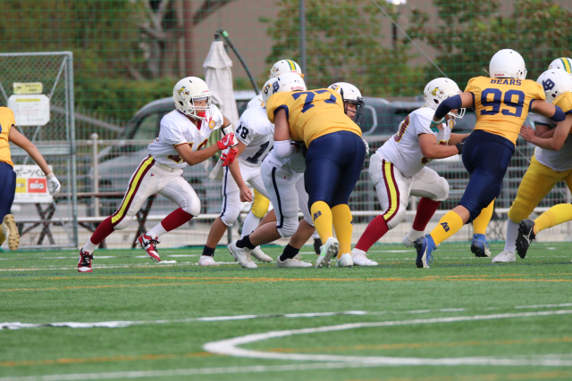 telcoblog_20251201_4