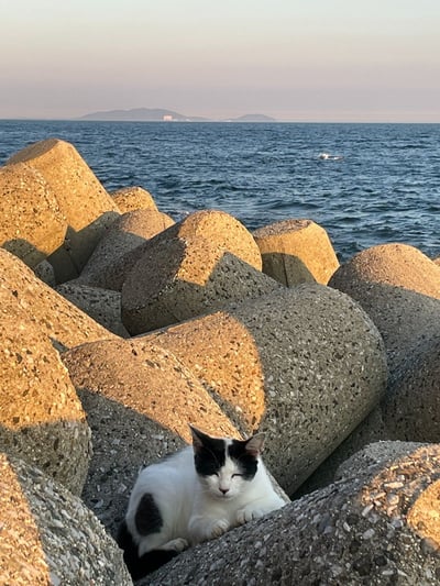 telcoblog_20251222_1