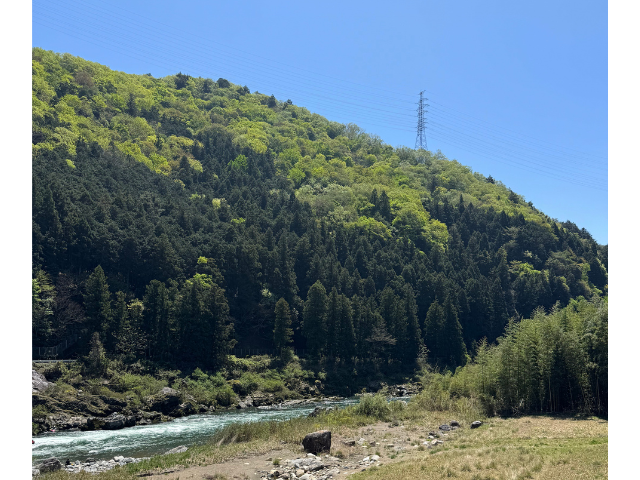telcoblog_260629_1