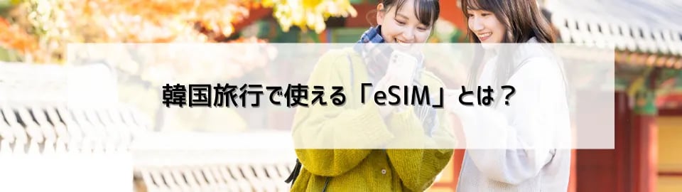 韓国旅行で使える「eSIM」とは？