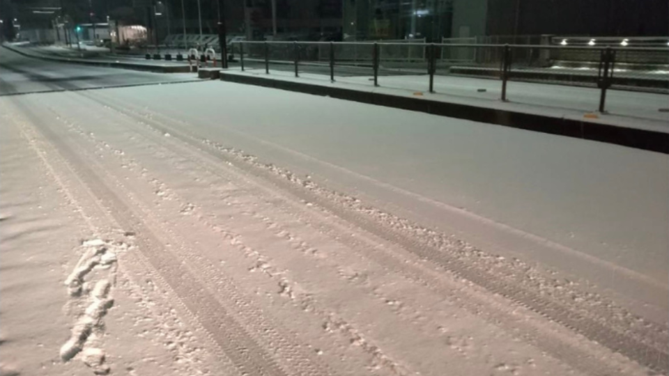 スタッフブログ（2026.02.24配信号）