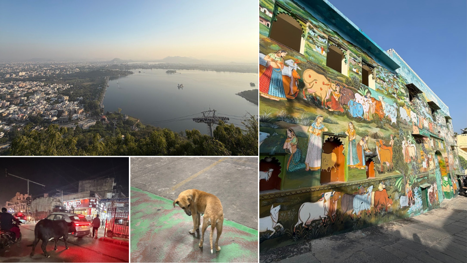 スタッフブログ（2025.12.08配信号）