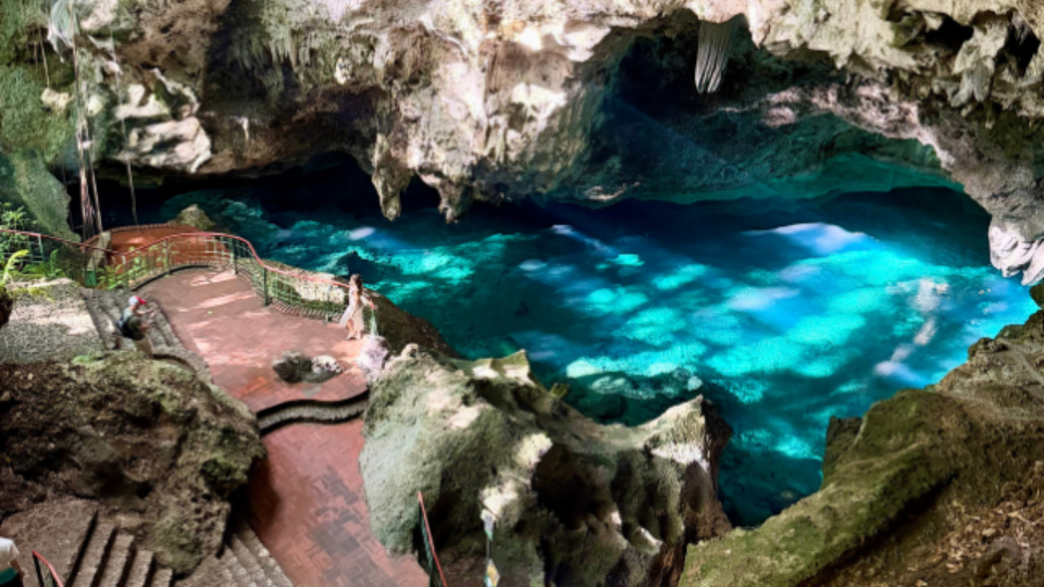 2026.02.21 グローバルWiFiメルマガ