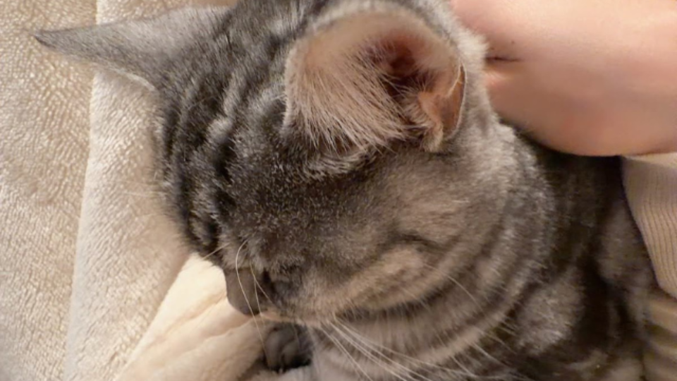 スタッフブログ（2025.11.25配信号）